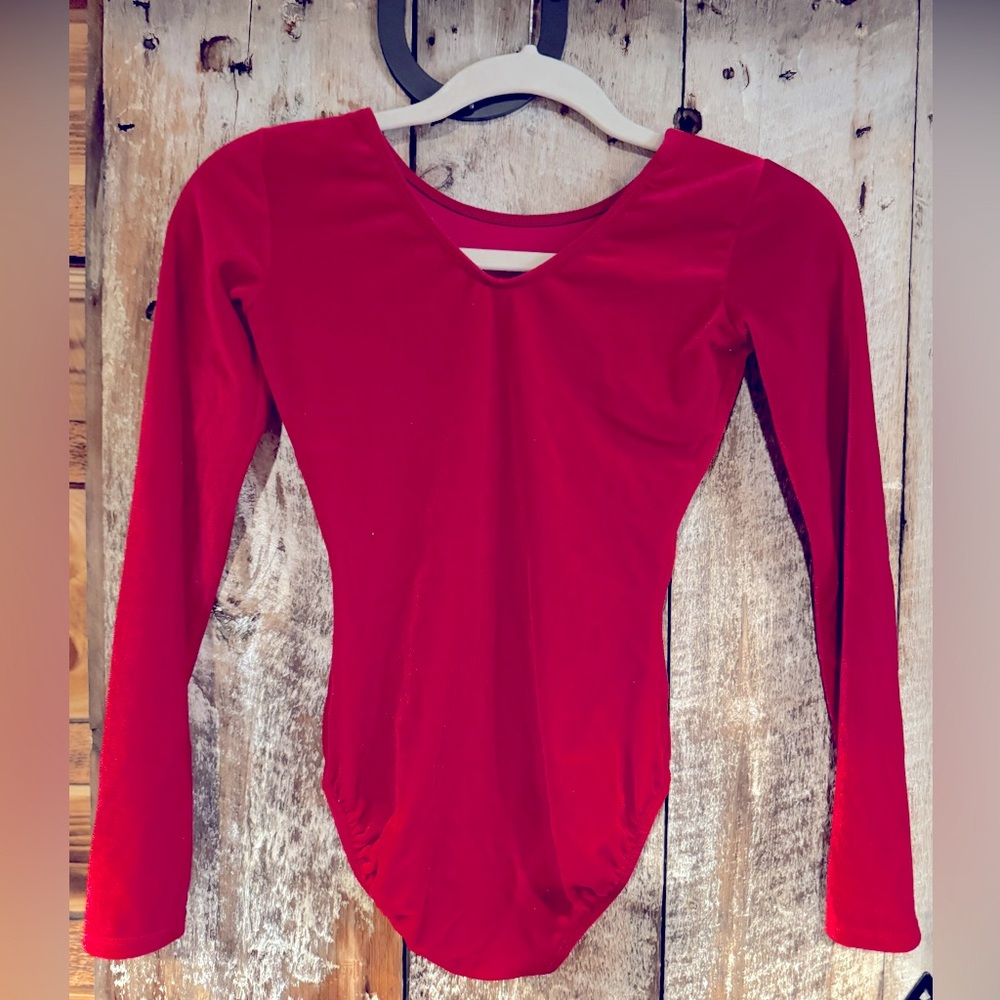 Danskin Velour Bodysuit